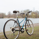 Image for article titled I Bought A Bianchi For $20 And I Do Not Have A Plan